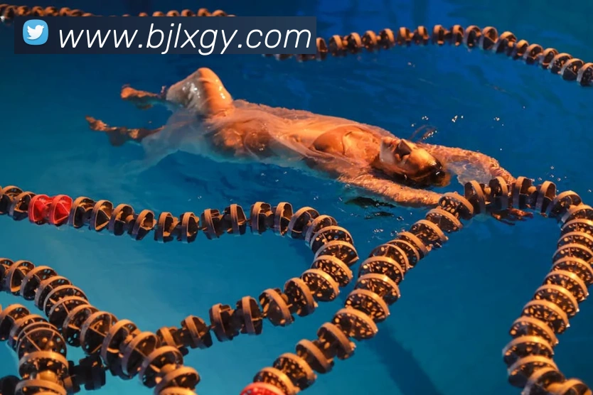 百家乐网站服务体系